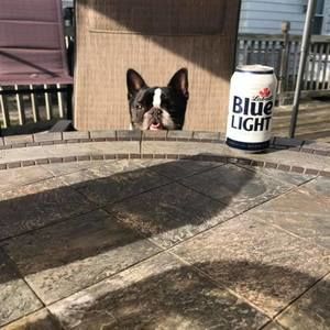 Meet your Posher, Steve